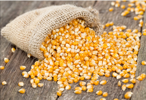 Picture for category Popcorn Kernels